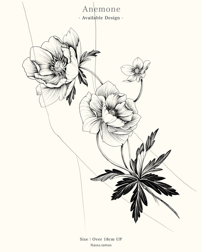 NASH 過往認領圖：銀蓮花